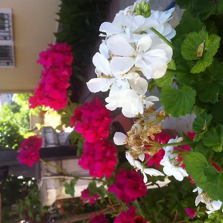 Besik Otel Fethiye
