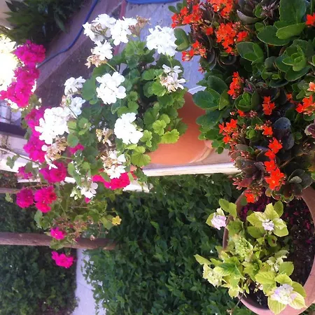 Besik 3* Fethiye
